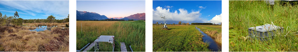 From left to right, you can see a peatland with a pond, a peatland with a measuring chamber, a peatland with a drainage ditch and EC station, and a measuring chamber between tall grass.